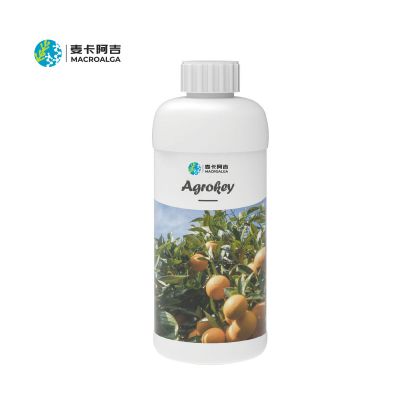 Agrokey-Agrokey for Key Period
